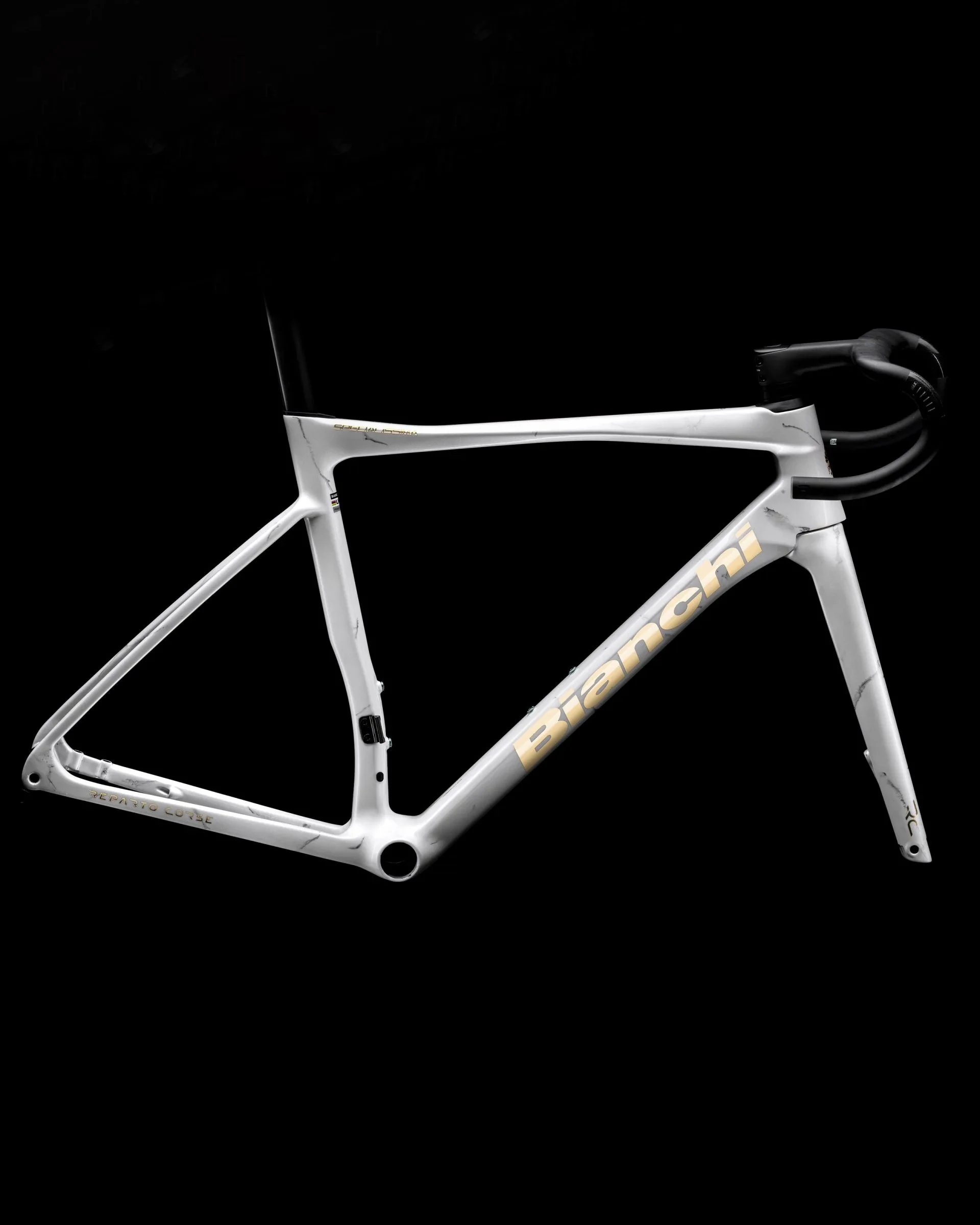 Officina Bianchi - Canova egyedi festésű kerékpár váz