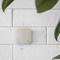 PEAK DESIGN MOBILE WALL MOUNT Bone fali rögzítő
