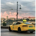 Kép 3/4 - TREEFROG Taxi táblatartó 