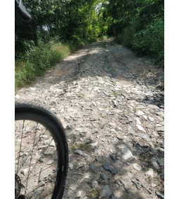 Mindenes gumit keresel? Continental Terra Speed TR gravel külsőgumi teszt 