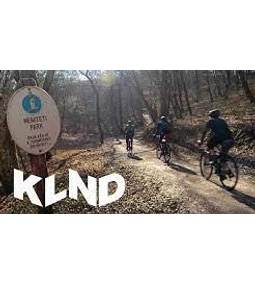 A Börzsönyről és az erdőkről - nem csak bringásoknak