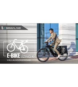 E-Bike lízing