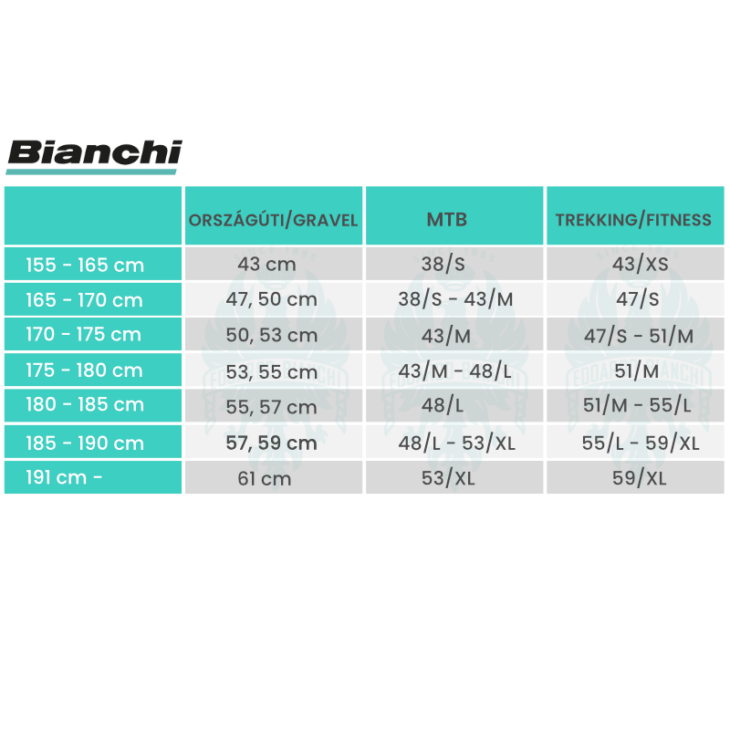 BIANCHI E-OMNIA C Deore 10sp 625Wh kerékpár (2022)