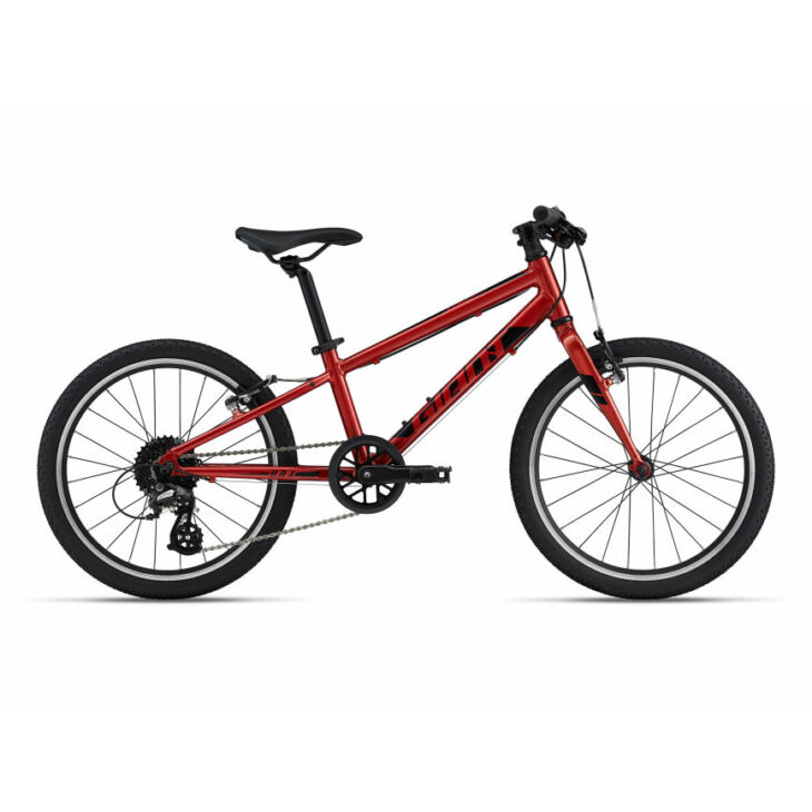 GIANT ARX 20" kerékpár (2022)
