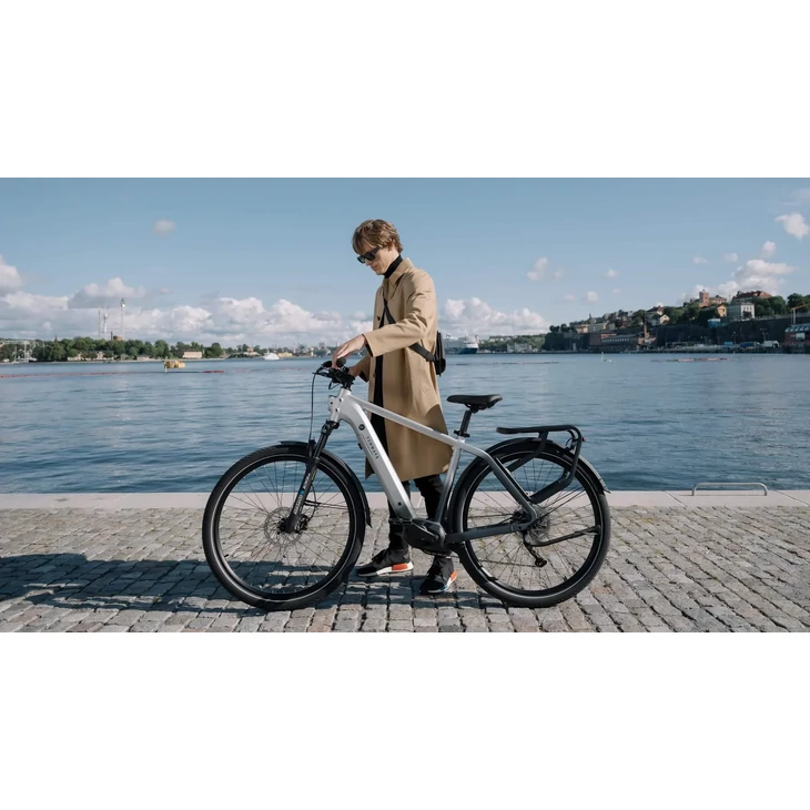 TENWAYS AGO X Gradient Silver L kerékpár