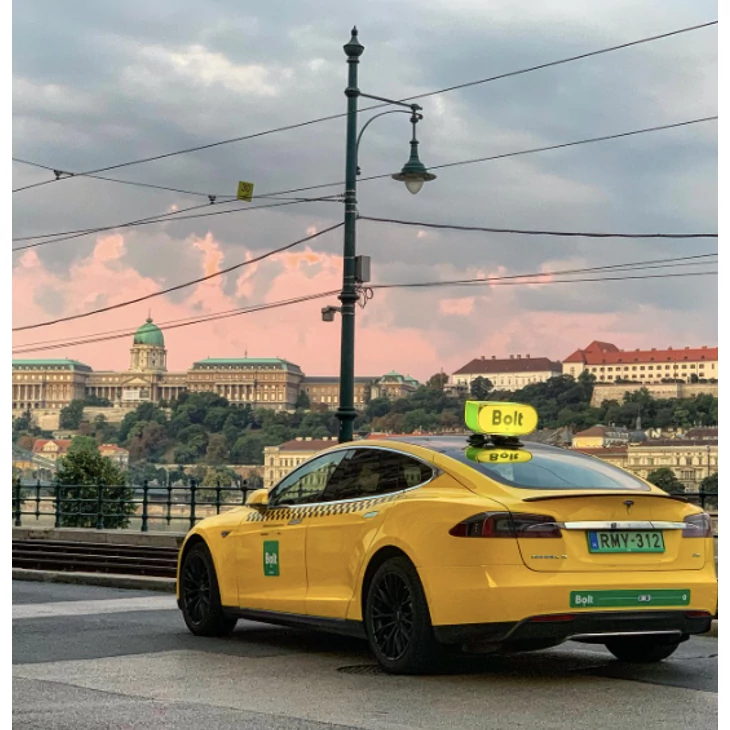 TREEFROG Taxi táblatartó 